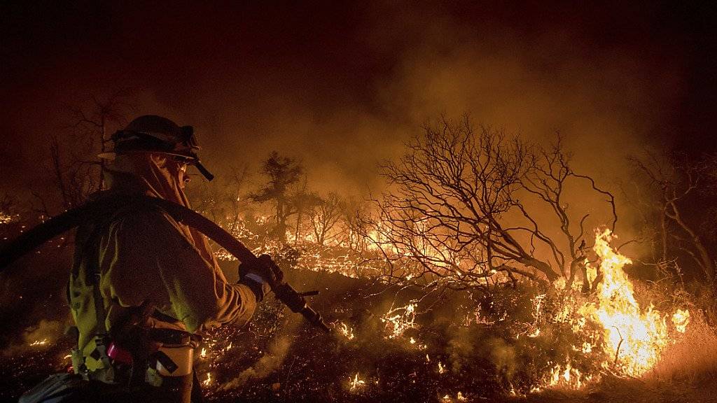 Waldbrände halten an der Westküste Kanadas und der USA die Feuerwehren auf Trab. Bei Oroville in der Nähe der kalifornischen Hauptstadt Sacramento werden rund zehn Häuser zerstört.