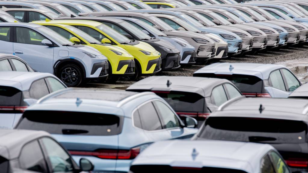 Neue BYD-Fahrzeuge in Niedersachsen: Elektro- und Hybridautos haben im Mai in der EU zugenommen. (Archivbild)