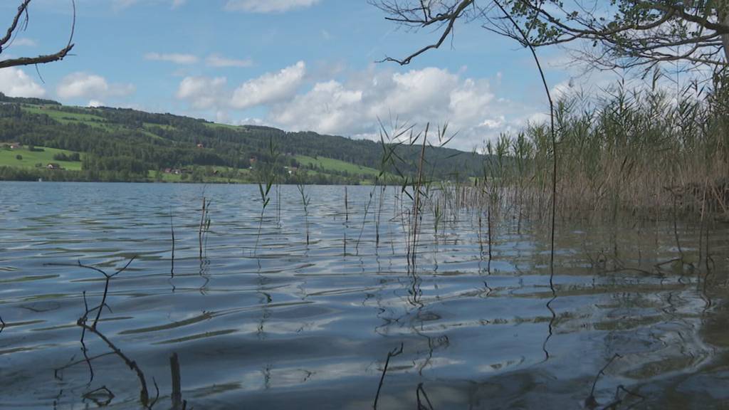 Zelten am Baldeggersee bald möglich?