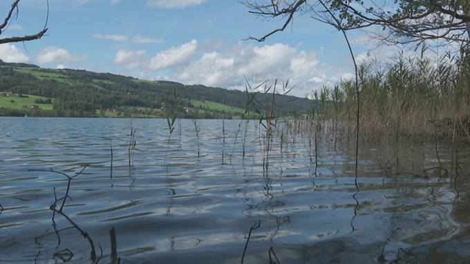 Zelten am Baldeggersee – Schutzverordnung soll gelockert werden