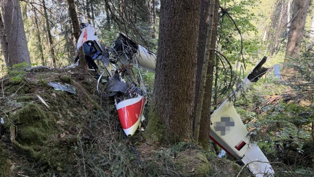Das Segelflugzeug stürzte aus unbekannten Gründen in einen Wald ab.
