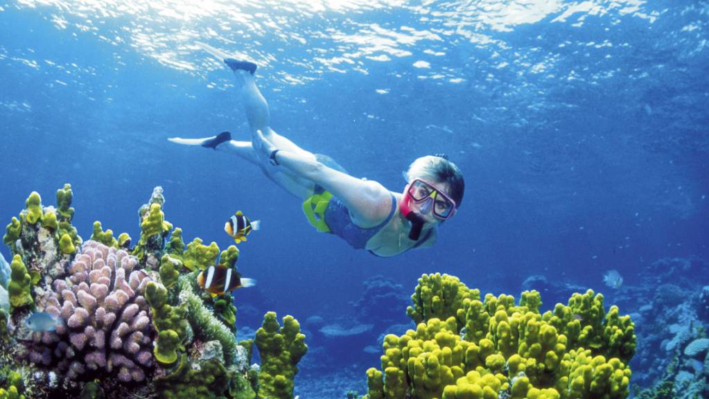 Das Great Barrier Reef an der Ostküste Australiens soll auf die Rote Liste der Unesco gesetzt werden. (Archivbild)