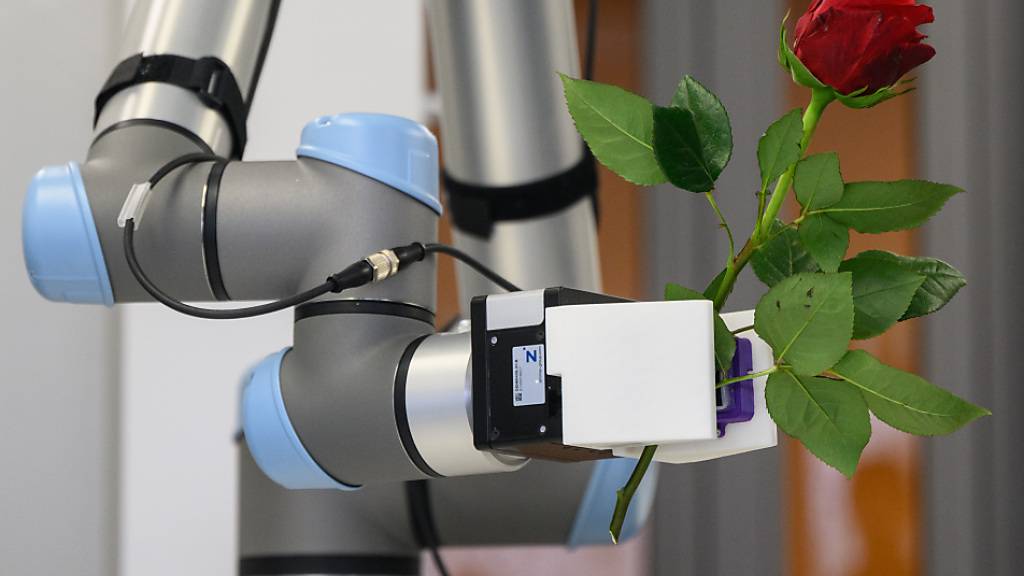 Die Robotik ist weltweit weiter im Aufwind. (Symbolbild)