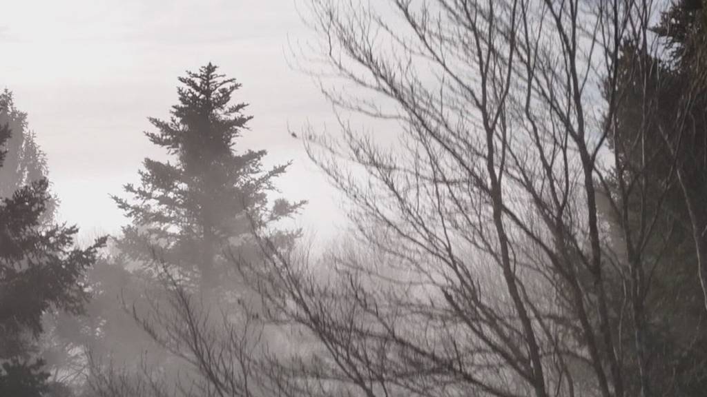 Über dem Nebel: Sonne lockt in die Höhe