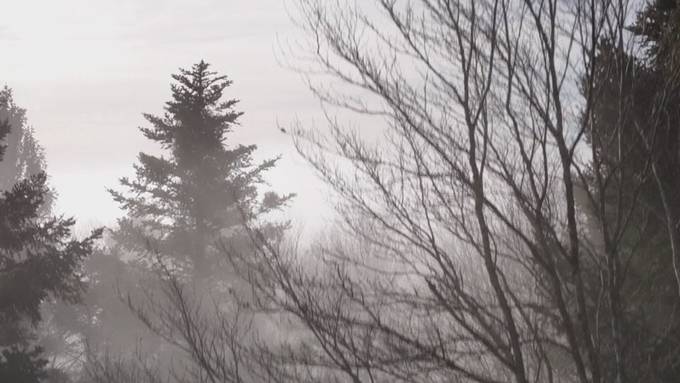 Über dem Nebel: Sonne lockt in die Höhe