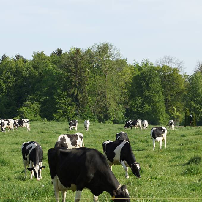 Was ist der Buurelandweg?