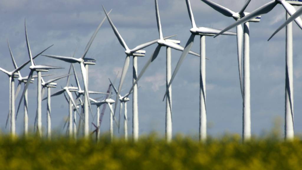 Nationale Behörden in der EU sollen Windkraftwerke oder Solaranlagen schneller genehmigen. (Archivbild)
