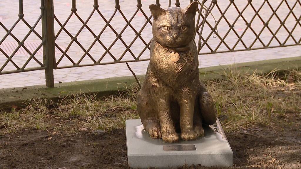 Statue von Kult-Kater Monty verschwunden