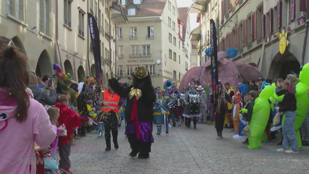 20'000 Franken zu wenig aus Plakettenverkauf