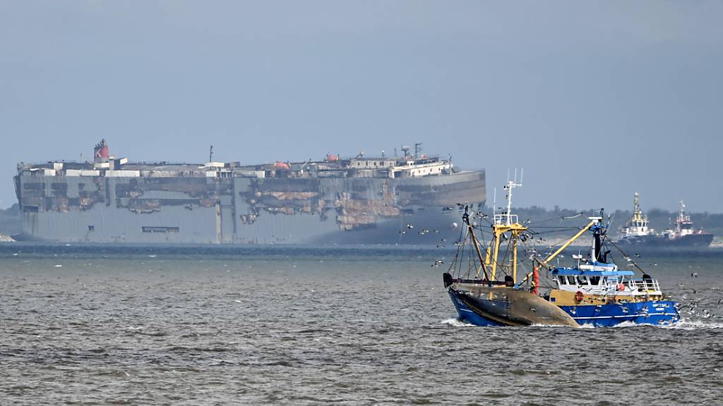 dpatopbilder - Der Autofrachter »Fremantle Highway« (Hintergrund) befindet sich wieder im sicheren Hafen. Foto: Lars Penning/dpa