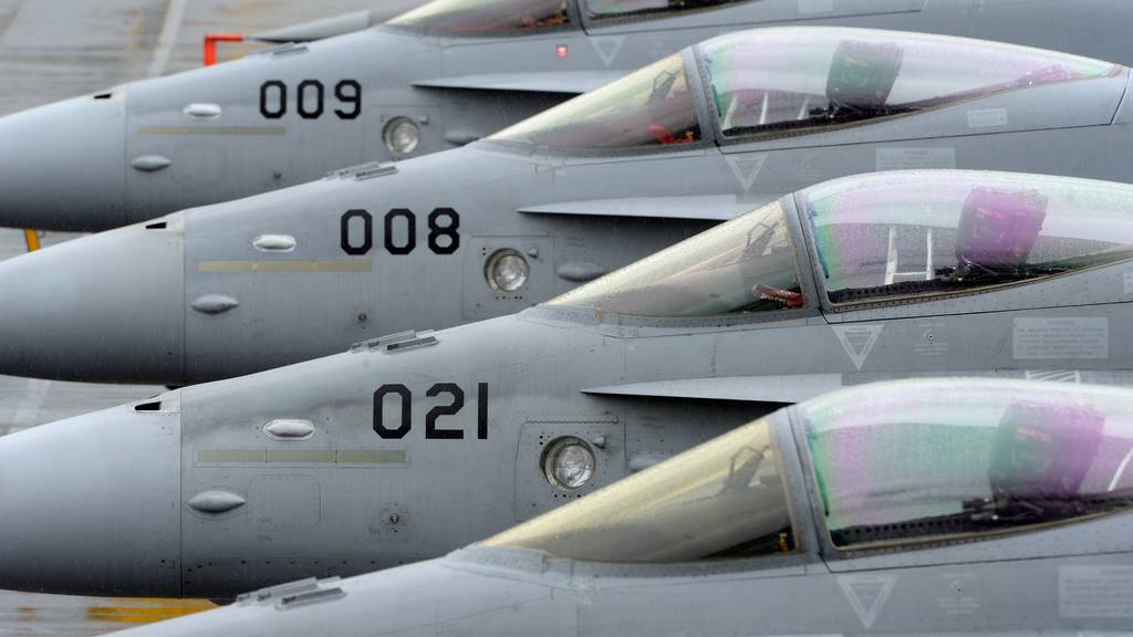 Die Luftwaffe liess im letzten Jahr alle F/A-18-Kampfjets auf Risse überprüfen.