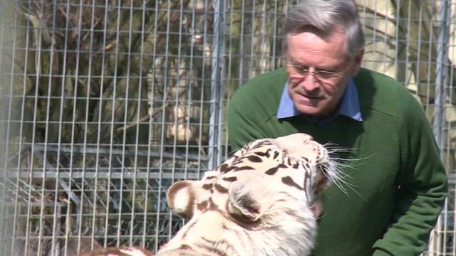 Demo für Raubtierpark