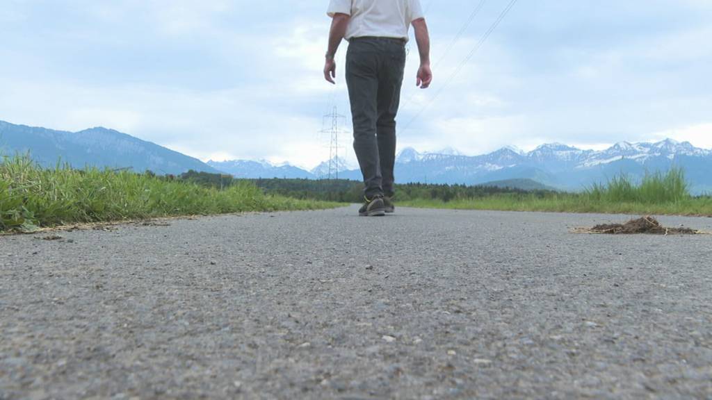 Kaum gesät, schon weg – Krähen werden zur Plage