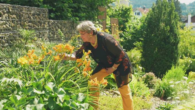 Vorschau «Min Garte»