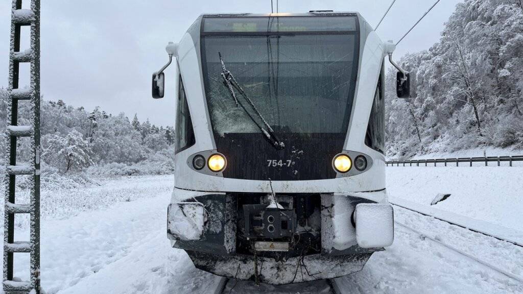 Ein Zug ist am Samstagmorgen auf der Strecke Schaffhausen-Thayngen in einen auf den Gleisen liegenden Baum geprallt. Verletzt wurde laut Polizei niemand, der Sachschaden belief sich auf etwa 50'000 Franken.