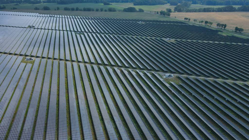 Blick über den riesigen EnBW-Solarpark Gottesgabe im Oderbruch