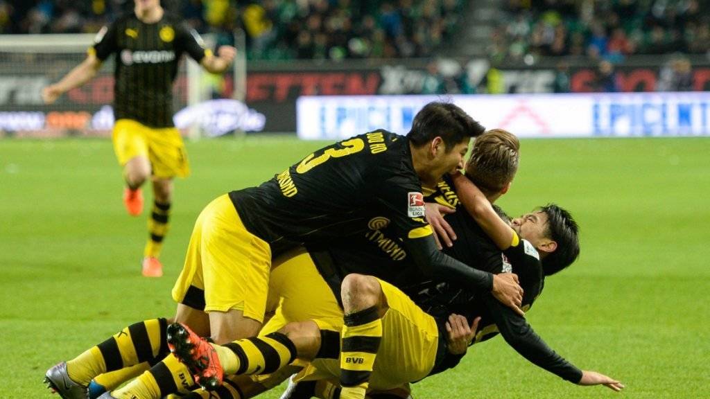 Die Dortmunder feiern einen Treffer von Shinji Kagawa (rechts). (Archivbild)