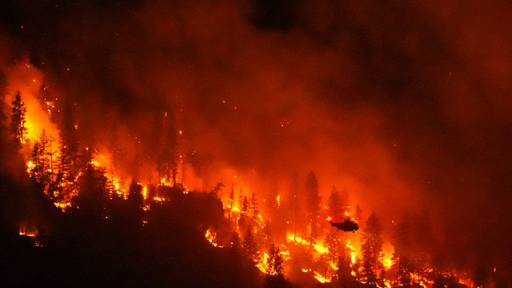 Westkanadische Provinz ruft wegen Waldbränden Notstand aus