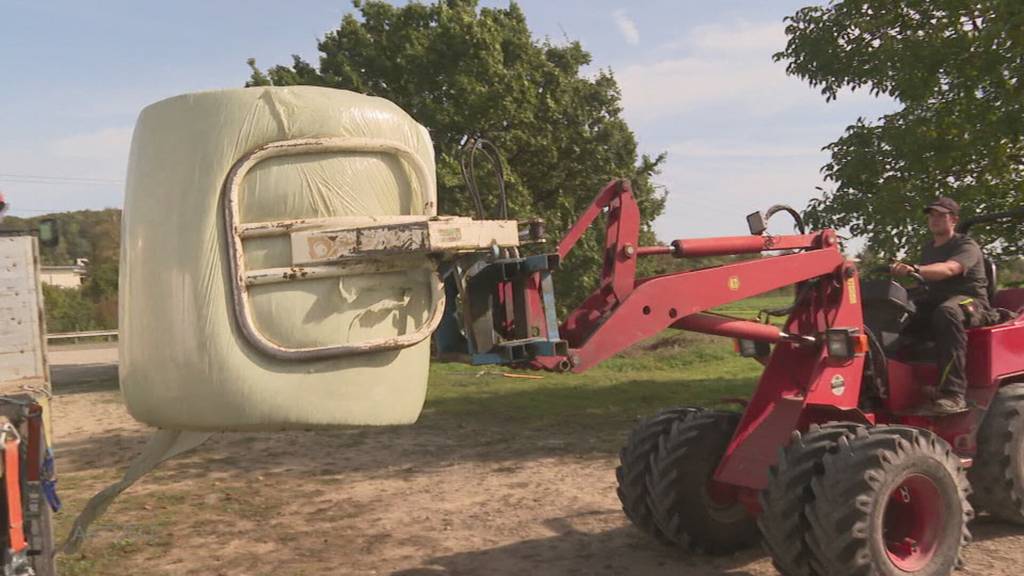 «Unverständlich» – Unbekannte schlitzen in Hausen Siloballen auf