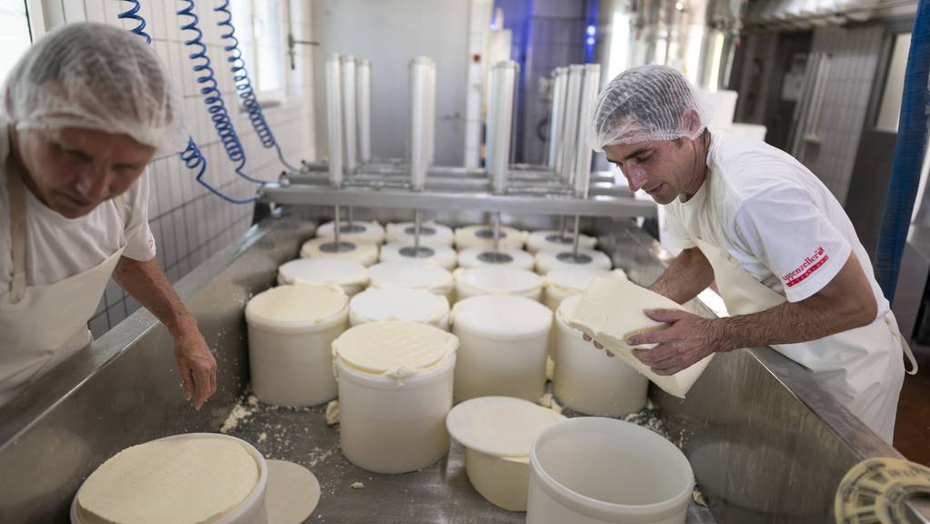 Appenzeller Käse wird in rund 40 Käsereien in den Nachbarkantonen von Appenzell Innerrhoden hergestellt.