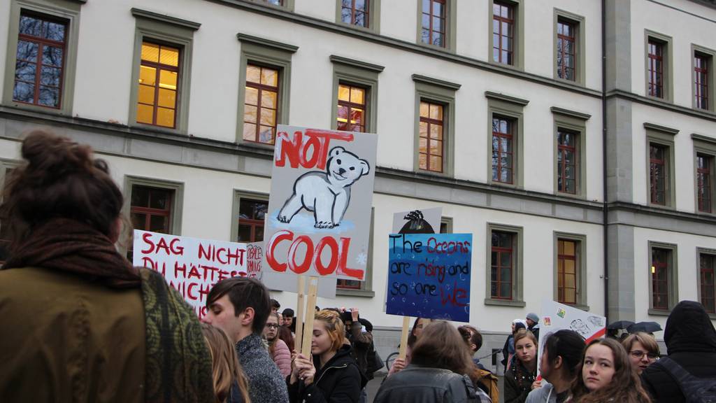 Mit Schildern, die im gestalterischen Vorkurs gemacht wurden, demonstrierten die Jugendlichen. (Bild: FM1Today/Tobias Bruggmann)