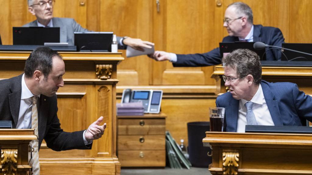 Energieminister Albert Rösti (rechts unten) warnte im Rat einmal mehr vor den Folgen eines Strommangels. Auch Christian Wasserfallen (FDP/BE, links unten) trat für die Zusatzkredite ein.