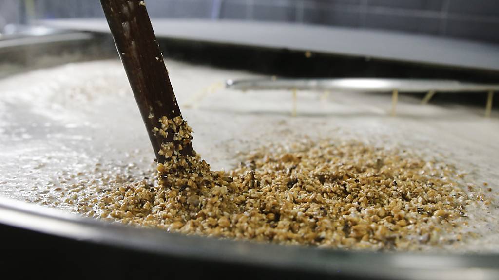 Heute wird der beim Bierbrauen anfallende Treber kompostiert oder als Tierfutter verewndet. (Archivbild)
