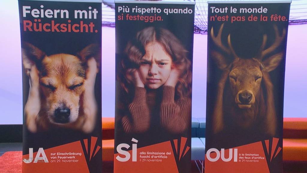 Feuerwerksinitiative: Bald Schluss mit der Knallerei?
