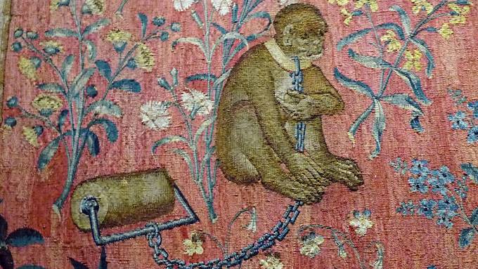 Mittelalterliches Affenskelett auf Basler Baustelle entdeckt