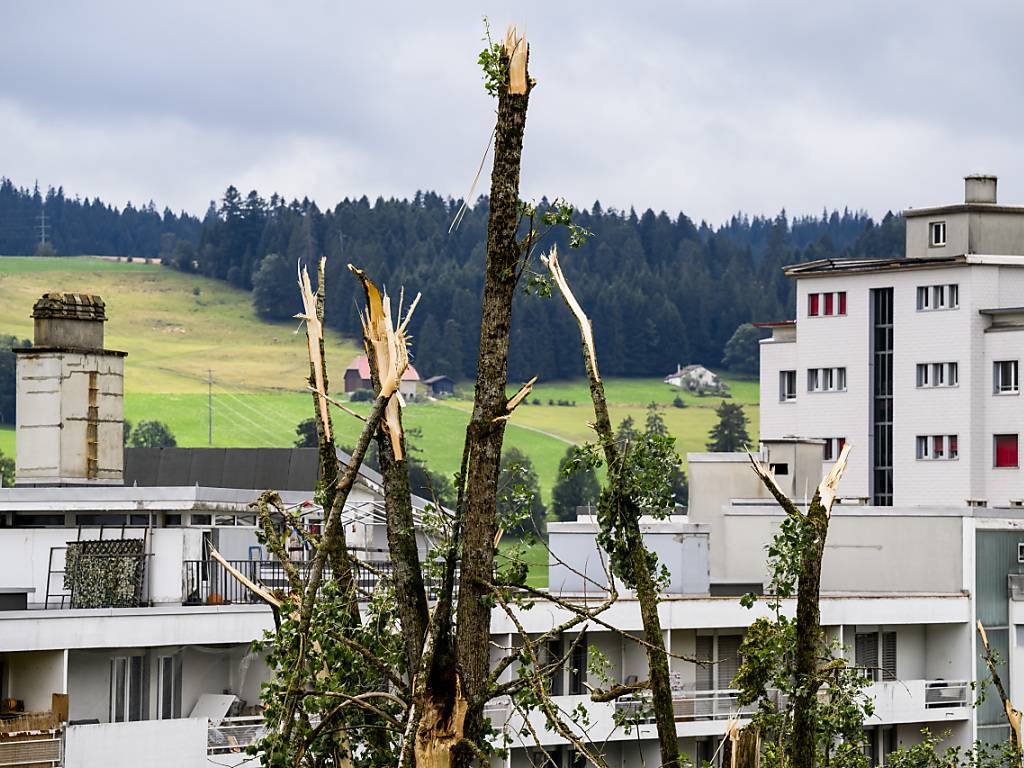 Beim verheerenden Unwetter vom Juli in La Chaux-de-Fonds wurden rund 1500 Bäume umgeknickt oder entwurzelt. Die Partnerstadt Winterthur spendet nun 150'000 Franken, das reicht für 100 neue Bäume. (Archivbild)