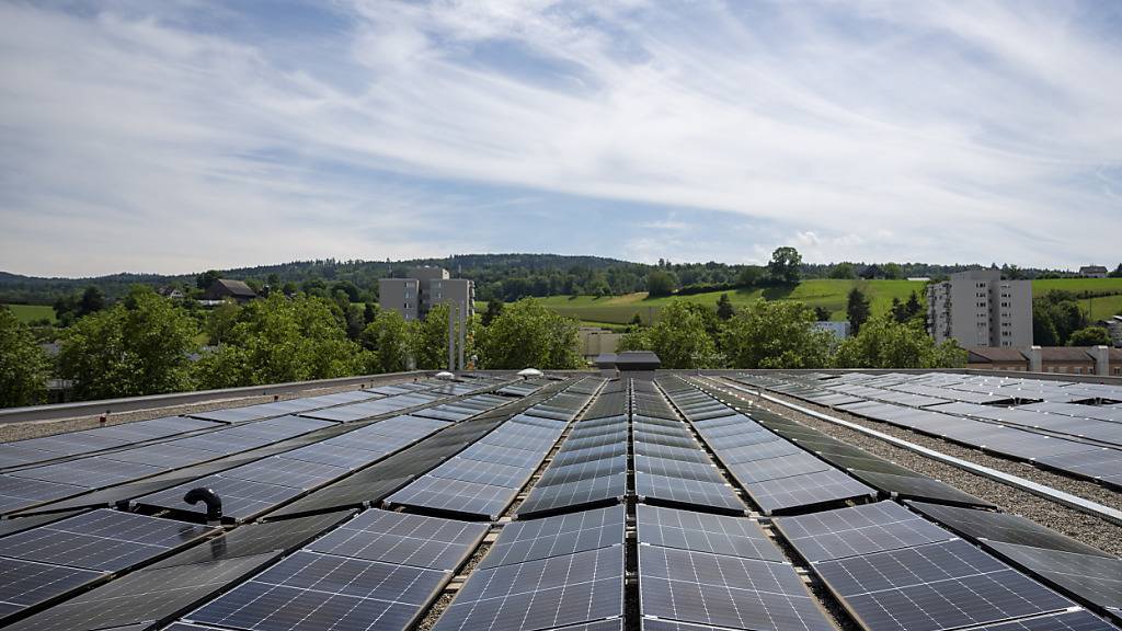 Mit erneuerbaren Energien wie Sonne, Wasser und Wind soll bereits im kommenden Jahr mehr Strom erzeugt werden, als mit Kohle. Dies prognostiziert die Internationale Energieagentur in einer Studie. (Symbolbild)