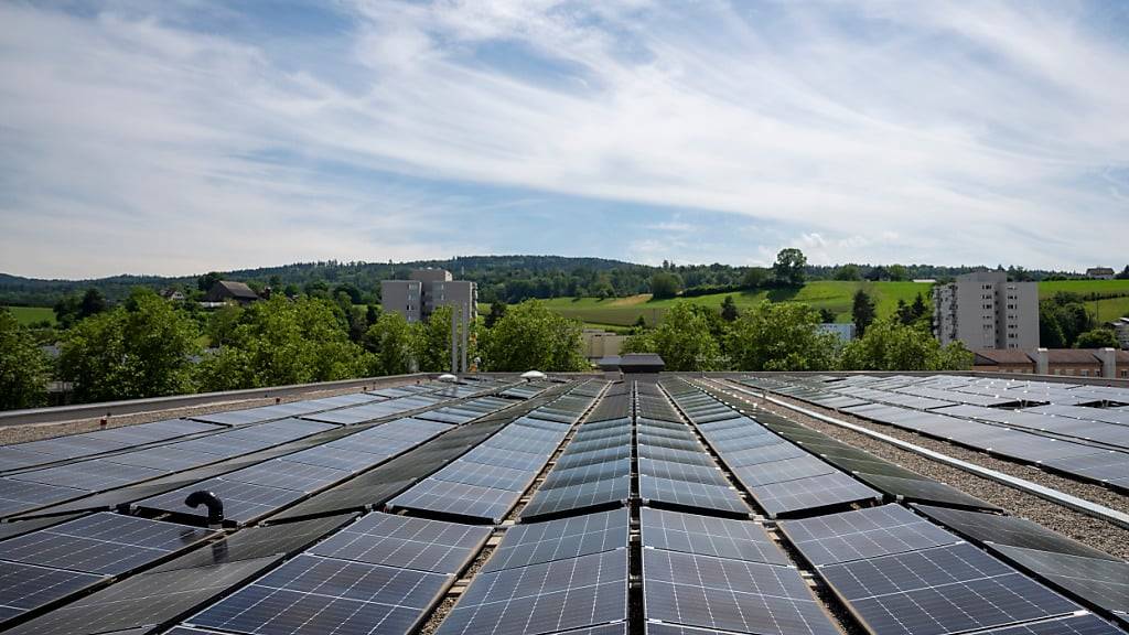 Mit erneuerbaren Energien wie Sonne, Wasser und Wind soll bereits im kommenden Jahr mehr Strom erzeugt werden, als mit Kohle. Dies prognostiziert die Internationale Energieagentur in einer Studie. (Symbolbild)