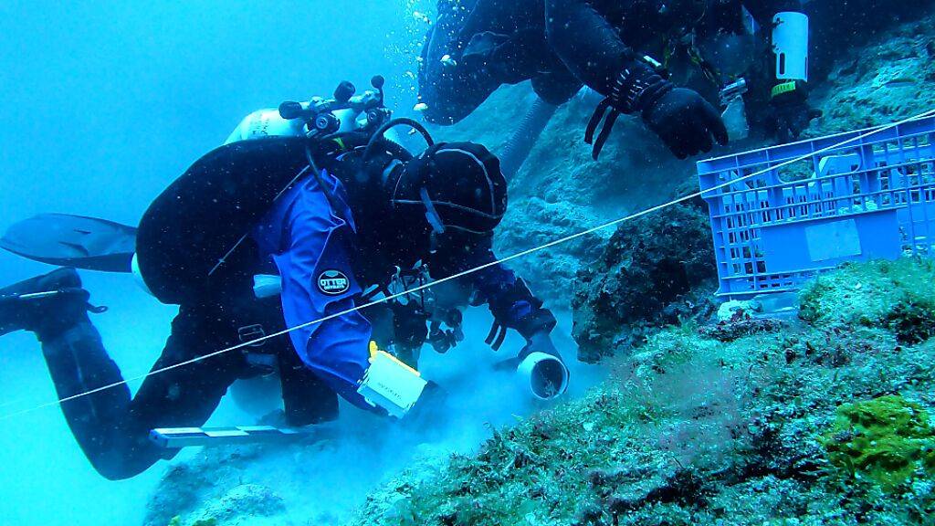 Das Wrack der Antikythera ist Gegenstand eines fünfjährigen Ausgrabungsprogrammes der Schweizerischen Archäologischen Schule in Griechenland.