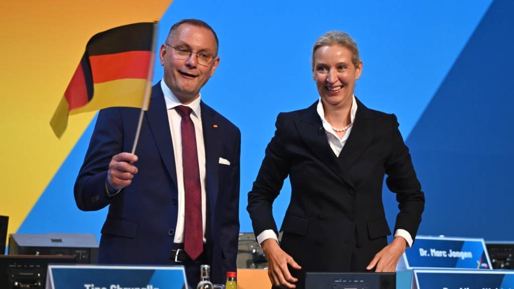 Weidel und Chrupalla als AfD-Spitzenduo bestätigt