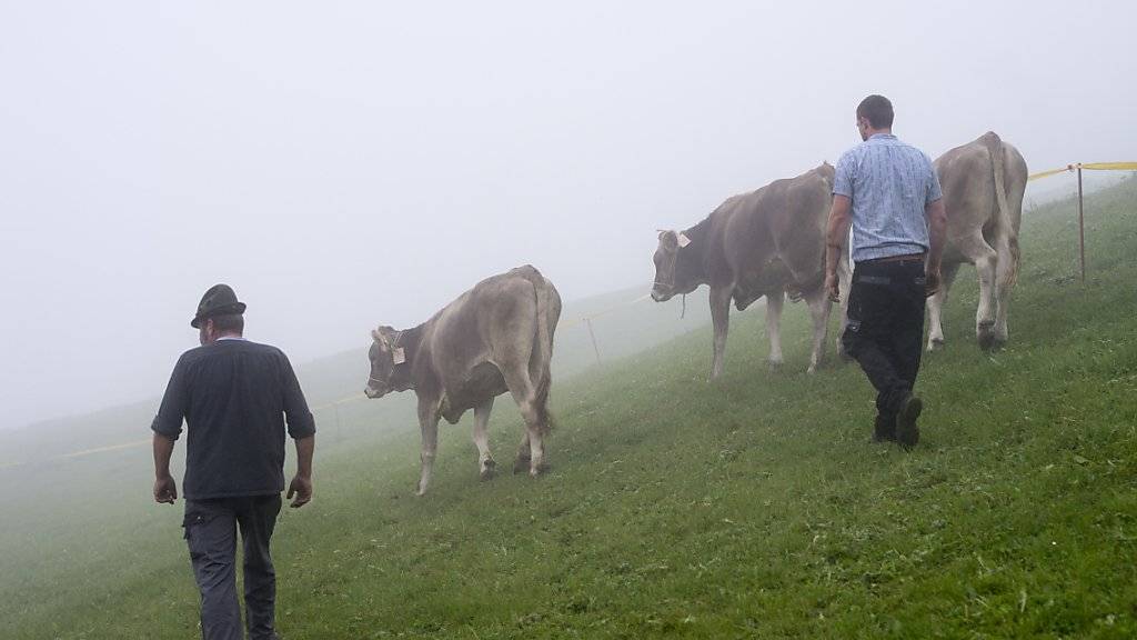 Kleinbauern statt industrialisierte Landwirtschaftsbetriebe sollen die Schweizer Bevölkerung ernähren. Das verlangt die Ernährungssouveränitäts-Initiative. (Archivbild)