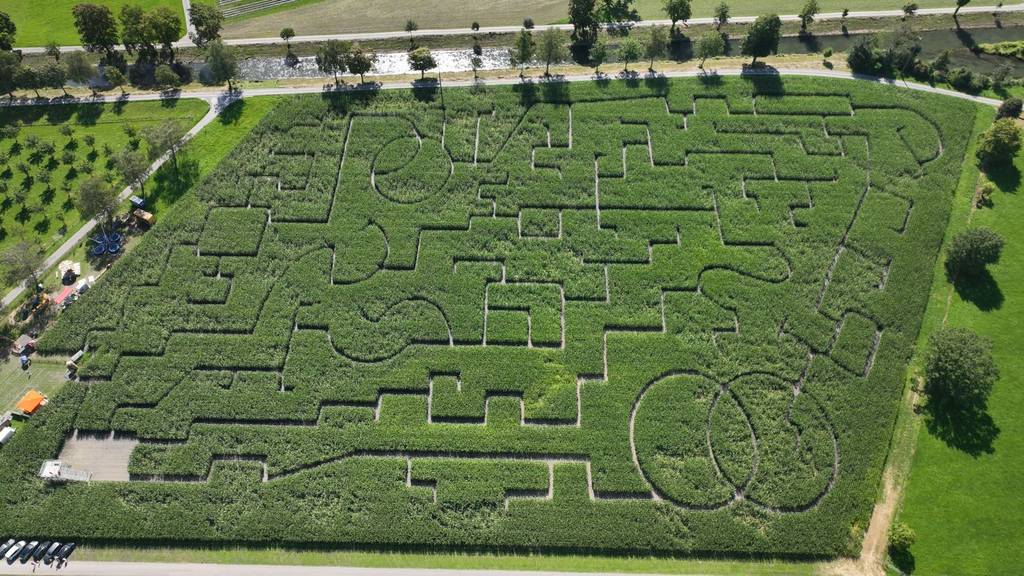 «Wir möchten das Maislabyrinth im kommenden Jahr auf jeden Fall wieder öffnen». sagt Ralph Schmid, Geschäftsführer von Schmid Events, welche das Maislabyrinth organisiert. 