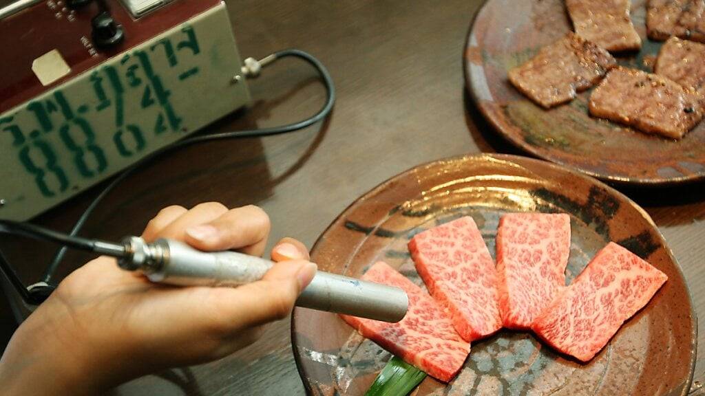 Ein Angestellter eines japanischen Restaurants in Bangkok überprüft Lebensmittel auf radioaktive Kontamination. (Archivbild)