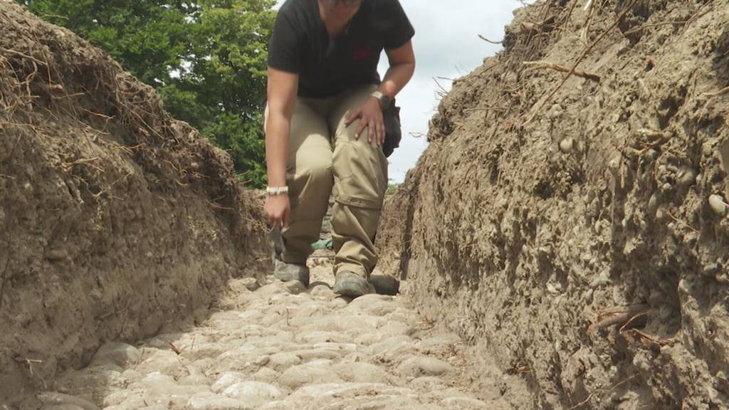 Vergessene Burgruine in Salenstein wird freigelegt: Spuren aus der Vergangenheit entdeckt