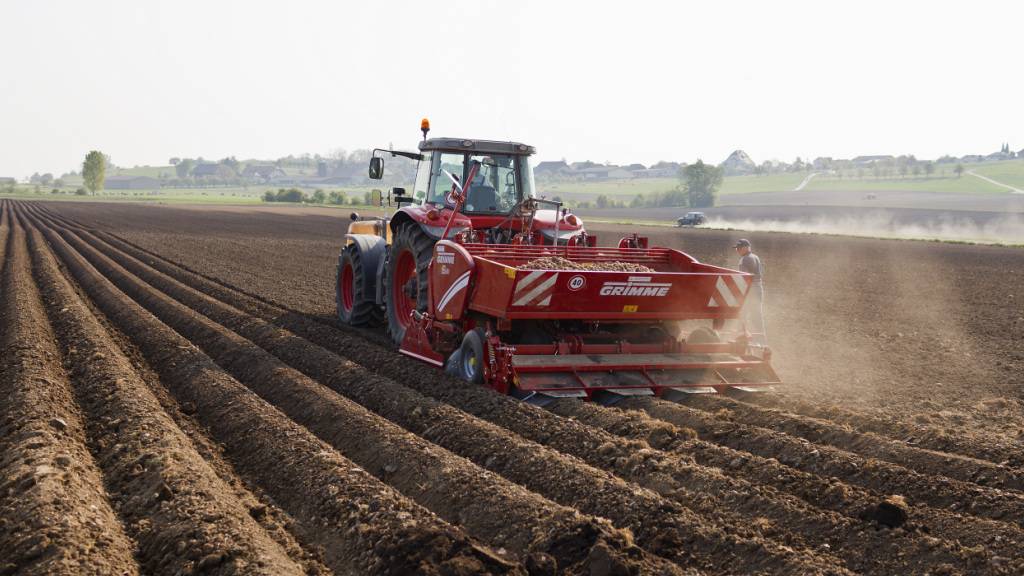 Beim Anbau von Kartoffeln und weiteren Gemüsearten darf in der Schweiz auch zukünftig kein Fungizid mit Chlorothalonil eingesetzt werden. (Themenbild)