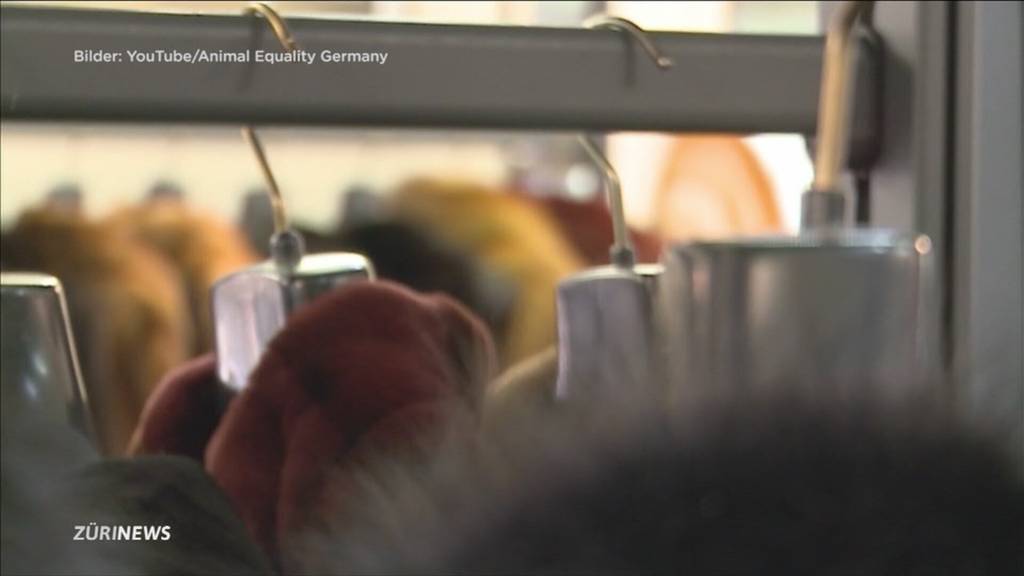 Bundesrat will Import für Pelze aus Qualzucht verbieten