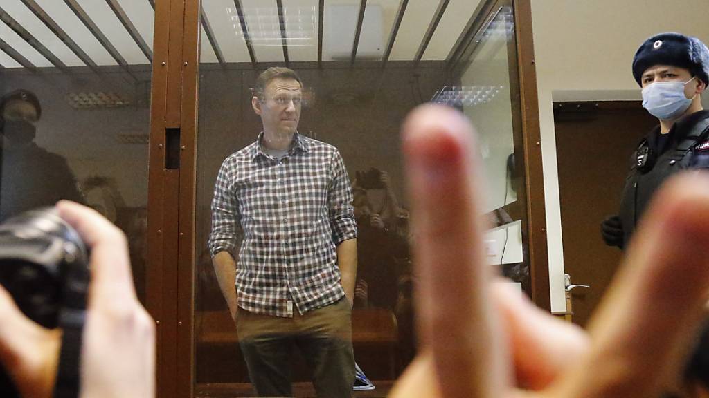 Ein Gericht in Moskau hat die Berufung von Alexej Nawalny gegen seine Haftstrafe abgewiesen. Foto: Alexander Zemlianichenko/AP/dpa