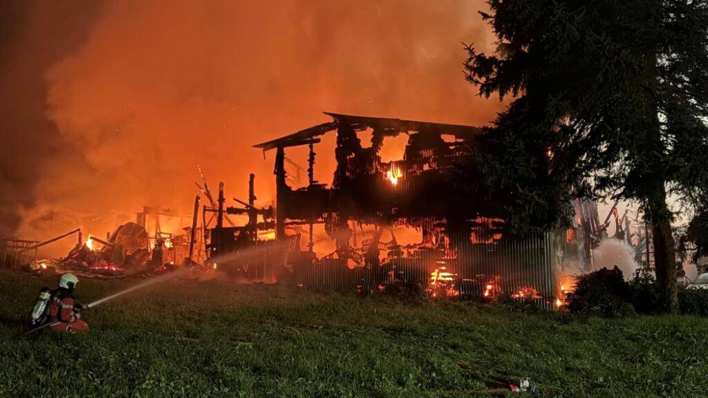 Bei einem Brand in Höri ZH sind laut Polizei am Sonntagabend (31.8.2025) eine Halle und eine Scheune zerstört worden.