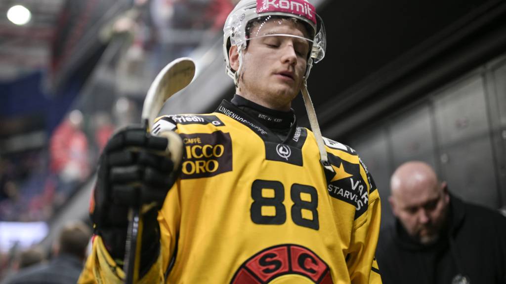Gottéron leiht SCB-Angreifer aus