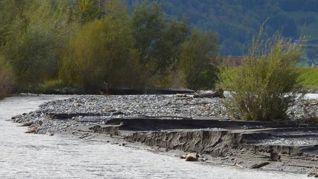 Das renaturierte Gebiet Chli Gäsitschachen am Escherkanal stellt besonders für Amphibien einen wichtigen Lebensraum dar.