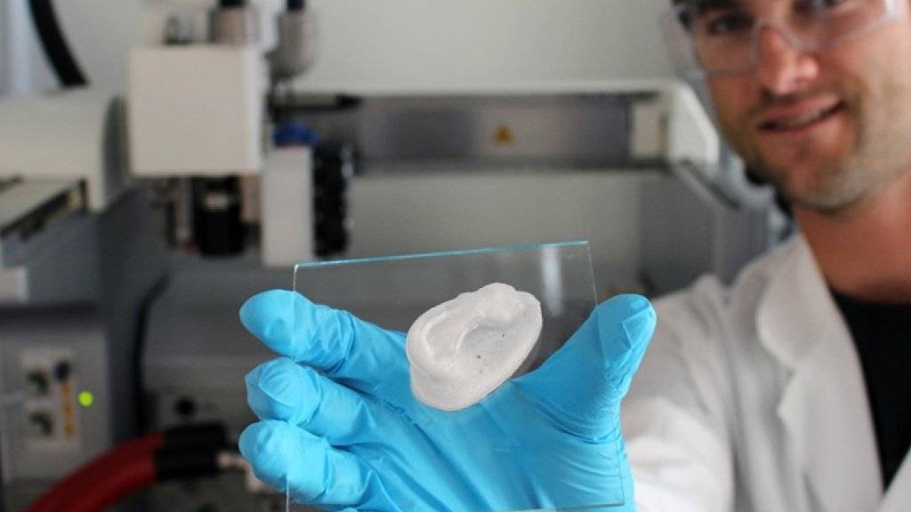 Eine Ohrmuschel aus dem 3D-Drucker. Fertig ist das Implantat damit noch nicht: Künftig sollen in diesem Grundgerüst Knorpelzellen wachsen.