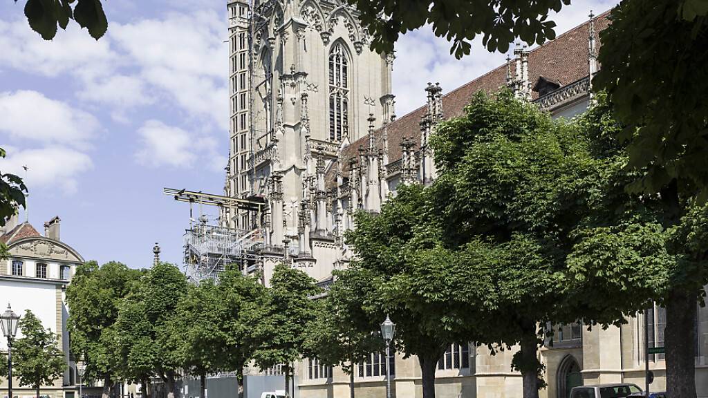 Der Baum gegen Rassismus steht auf der Münsterplattform. (Archivbild)