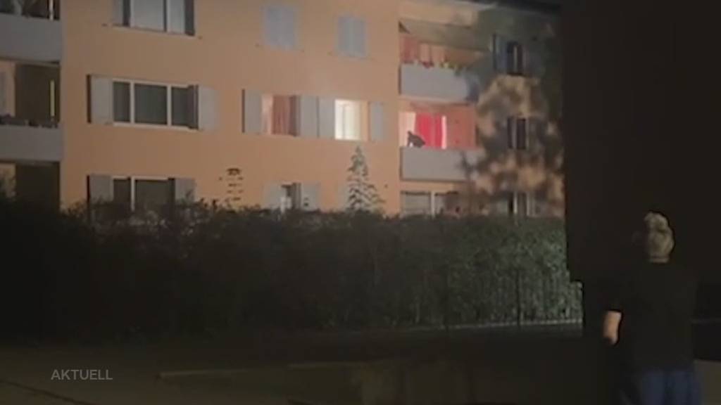 Mann randaliert: Die Polizei stürmt letzte Nacht in Fahrwangen eine Wohnung