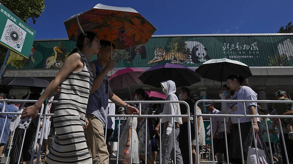 Zoobesucher in Peking schützen sich mit Regenschirmen vor der Sonne. Foto: Andy Wong/AP