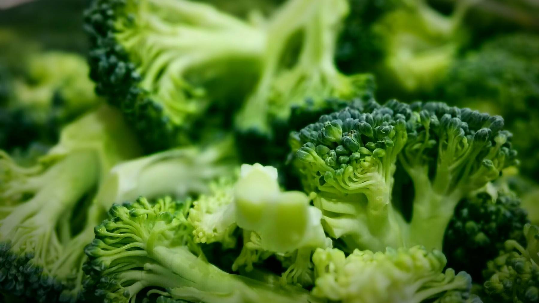 Neue Studie zeigt, warum Kinder Broccoli nicht mögen.