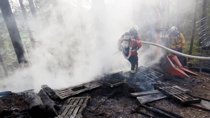 Waldboden in Brand gesetzt – Polizei ermittelt